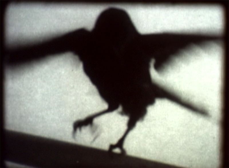 Vanessa Renwick. 9 Is A Secret, 2002 (stills), 16mm & video, 6 minutes. Courtesy the artist.