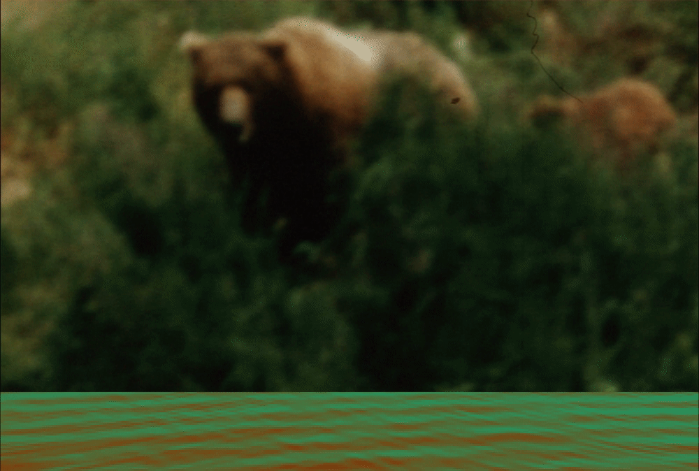 grizzly bear mother and cub walk down through green brush from upper right to lower left of image. a pixellated and green and red hued stripe of river is appended to the bottom edge of the image.